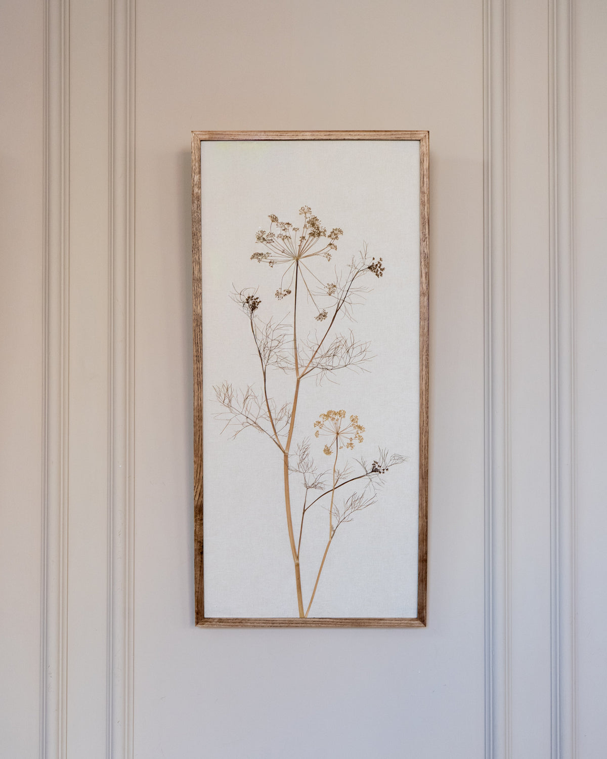 A framed pressed botanical artwork featuring pressed fennel in muted tan and brown tones on a linen paper background, hung on a soft pink paneled wall.

