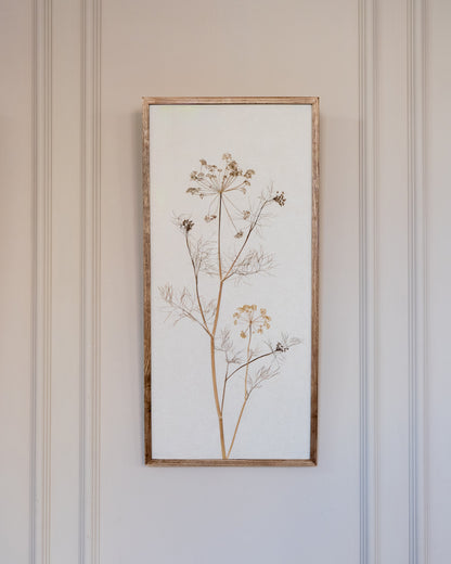 A framed pressed botanical artwork featuring pressed fennel in muted tan and brown tones on a linen paper background, hung on a soft pink paneled wall.

