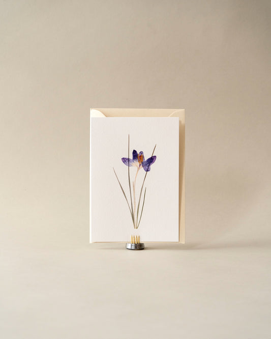 Card - February Crocus