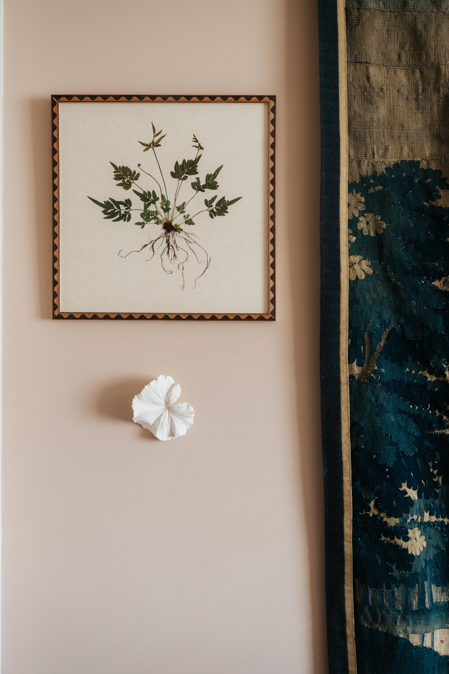 Brake Fern on Linen Paper