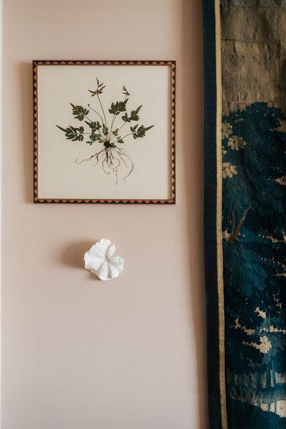 Brake Fern on Linen Paper