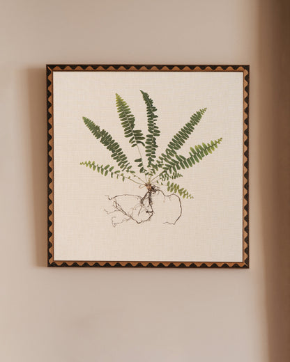 Sword Fern