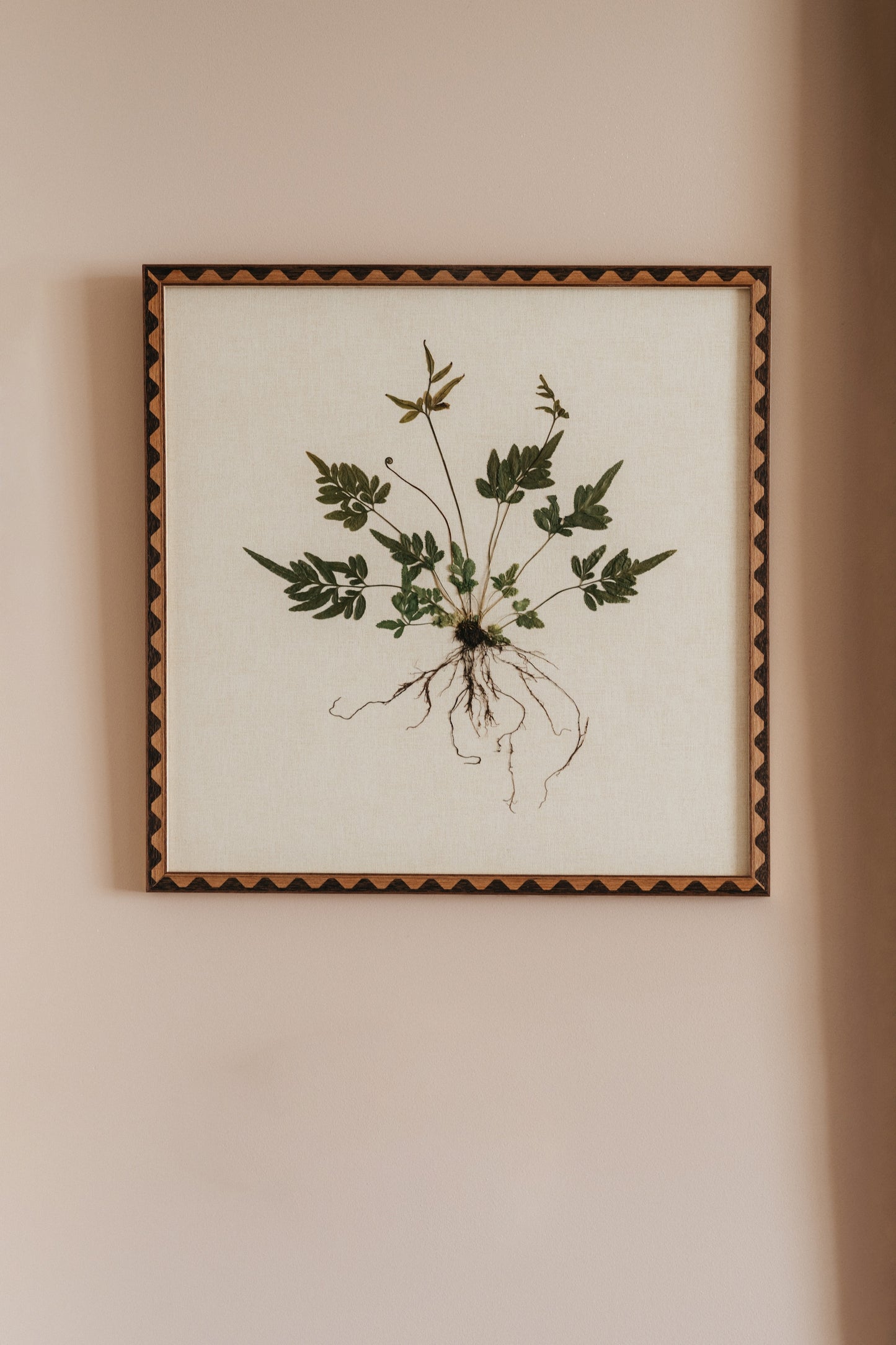 Brake Fern on Linen Paper
