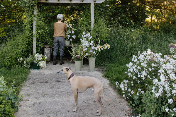 Flower Pressing at Green & Gorgeous, Oxfordshire, 20th July