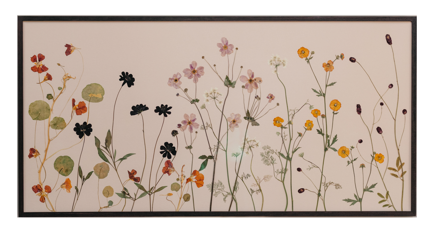 Decorative wall art with pressed flowers recording a London garden in late summer garden on a pale parchment coloured background with ebony stained wooden frame.