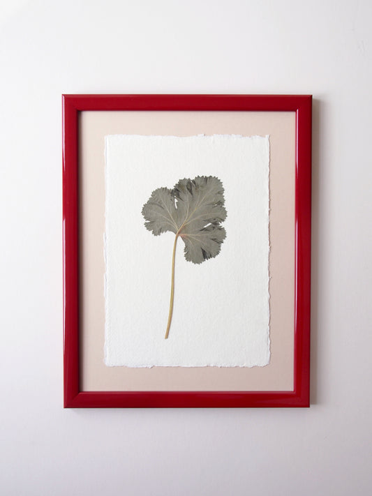 Geranium Leaf 2