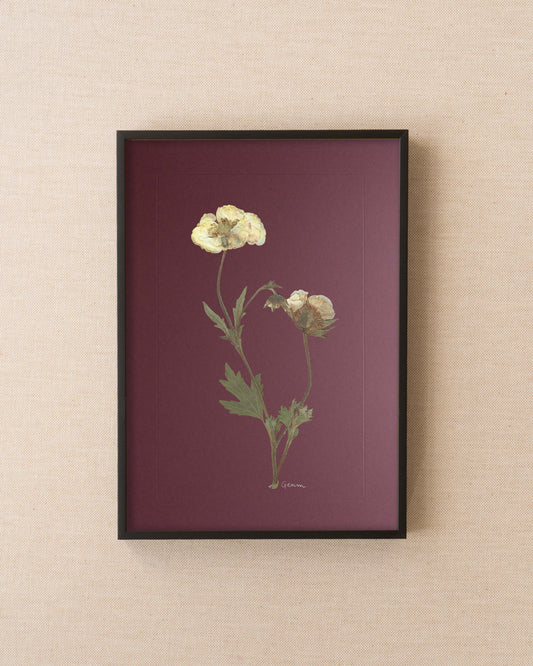 Geum