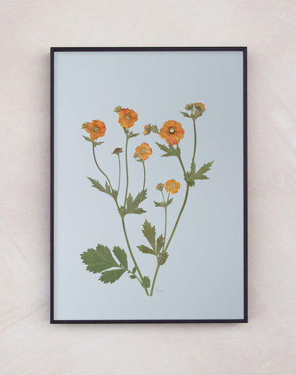 Geum