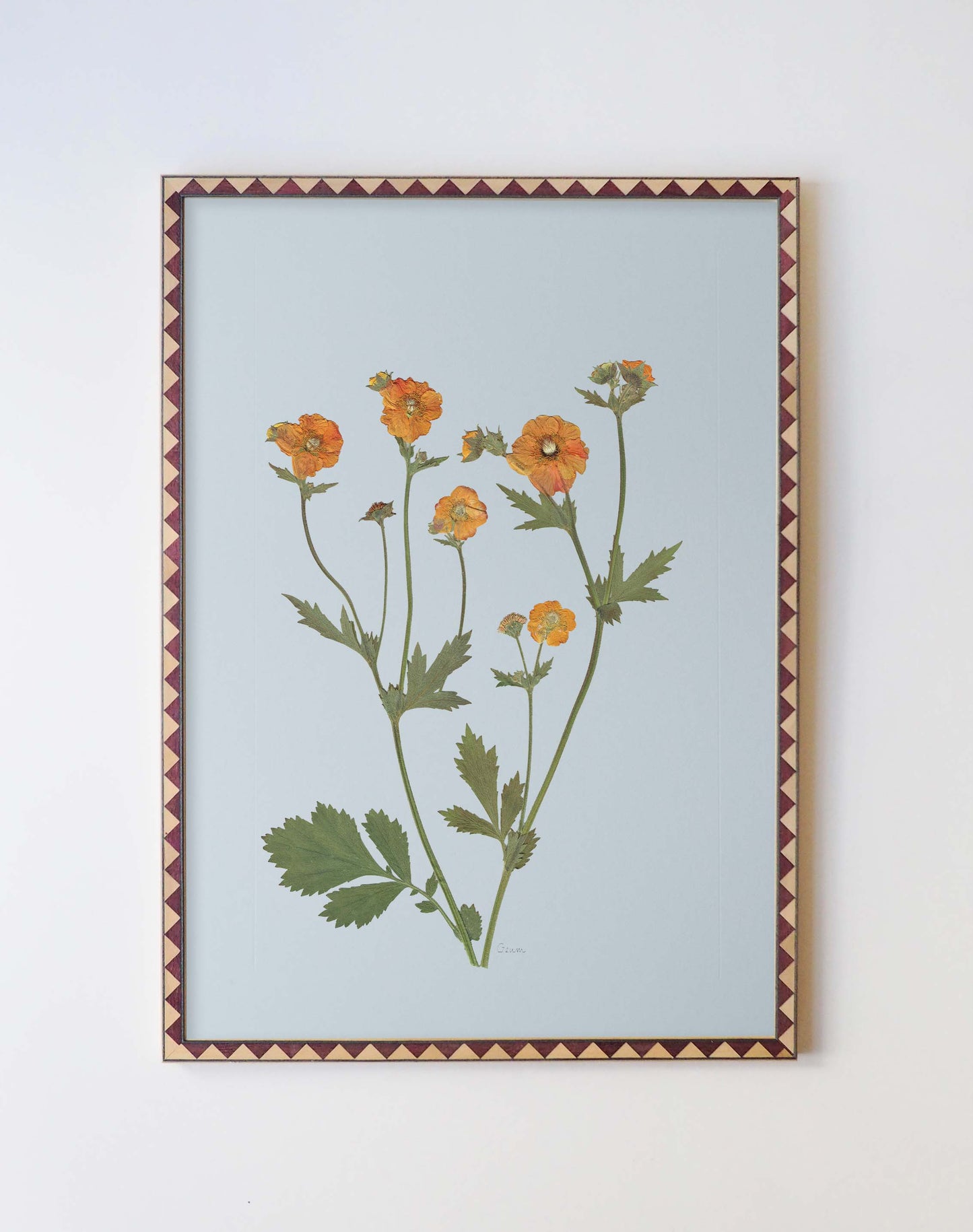 Geum