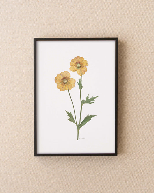 Geum