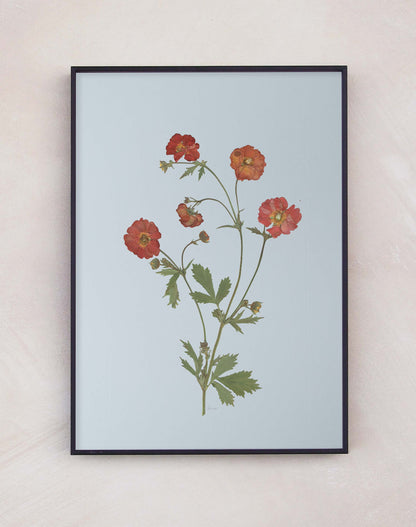 Geum