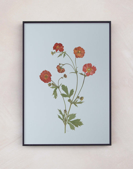 Geum