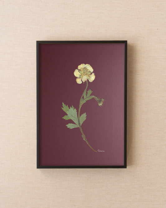 Geum
