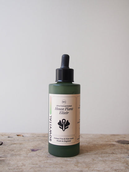 House Plant Elixir
