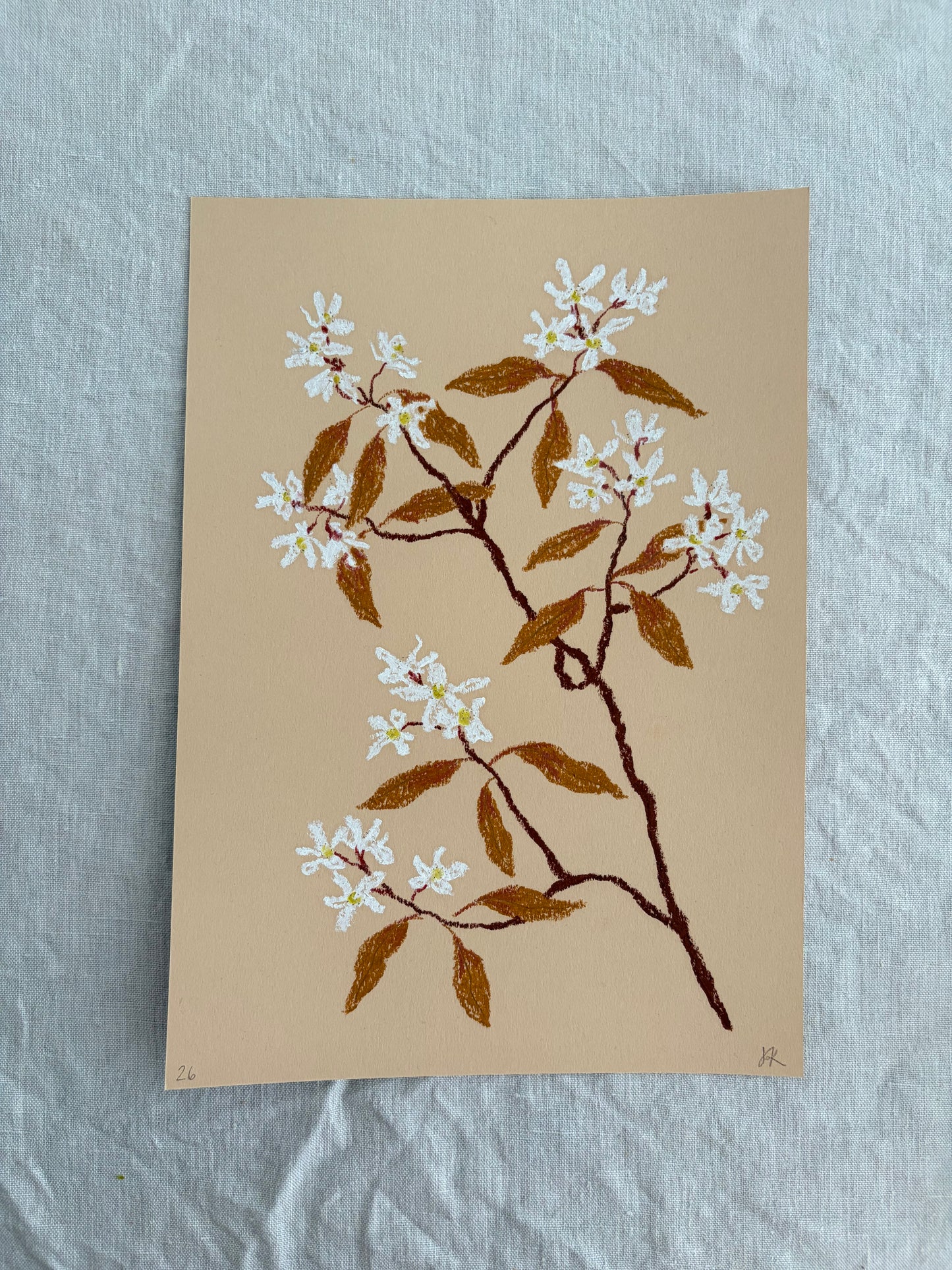 Pastel Amelanchier