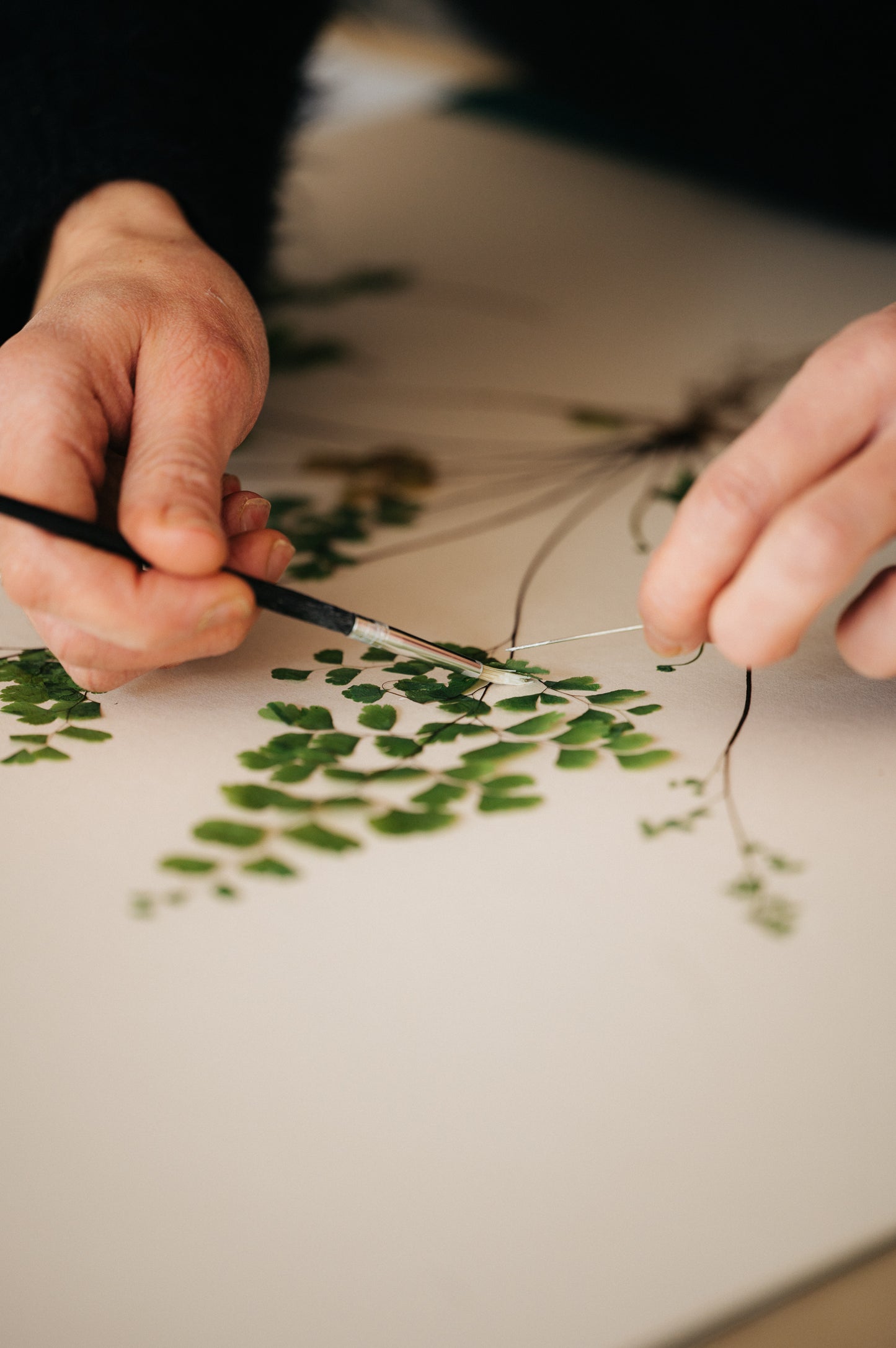 Flower Pressing Workshop at Prussia Cove, Cornwall, 29th April