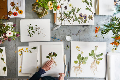 Flower Pressing Workshops