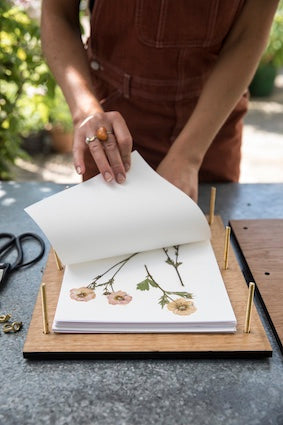 Flower Pressing at Heckfield Farm