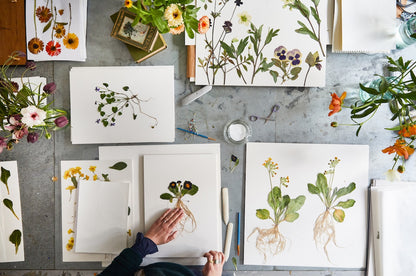 Flower Pressing at Heckfield Farm