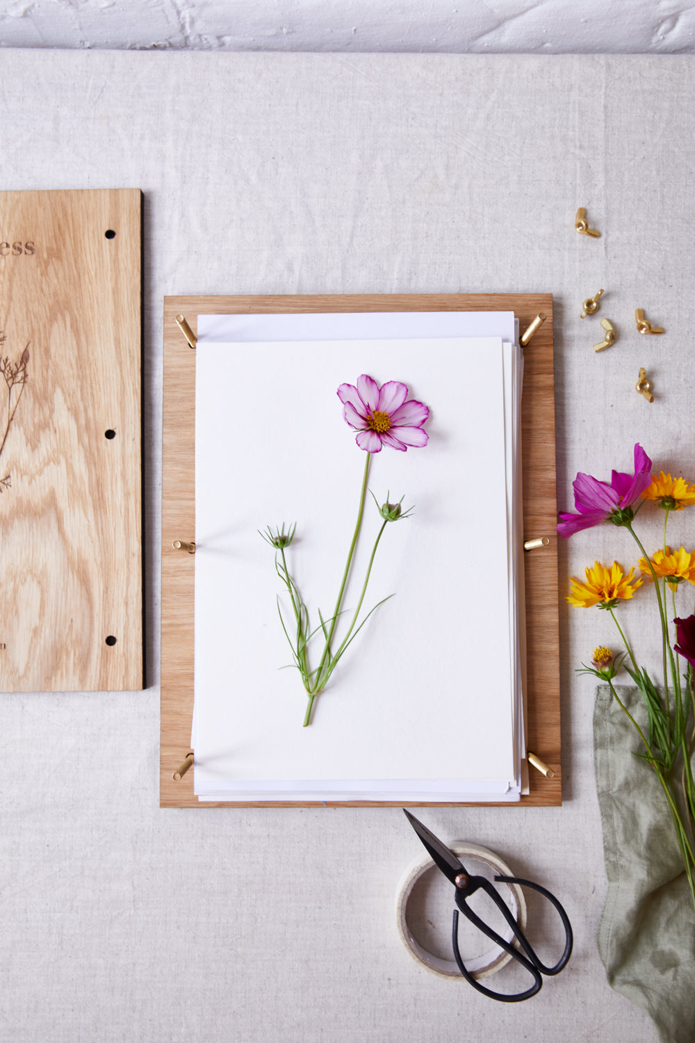 Flower Pressing at Highgrove Estate, Tetbury, Gloucestershire 23rd July