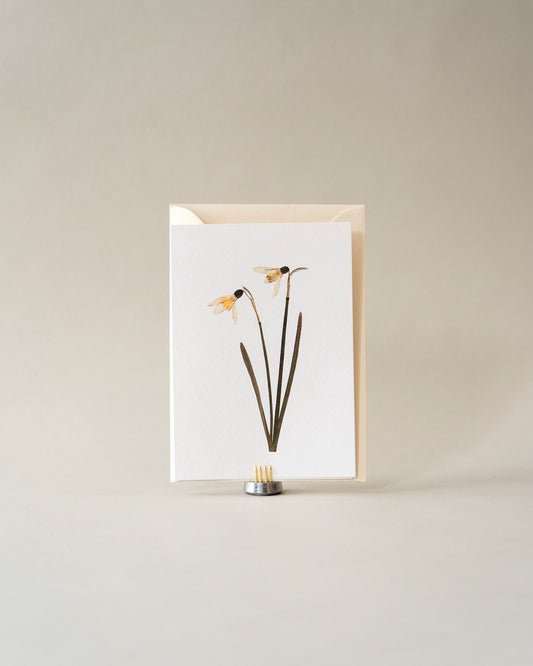 Card - January Snowdrop