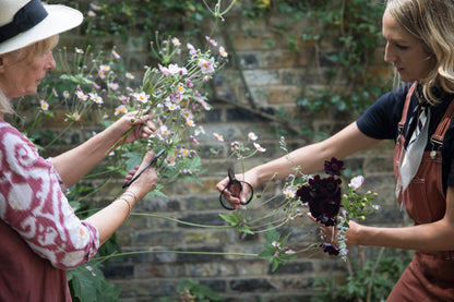 Garden Record: Late Summer