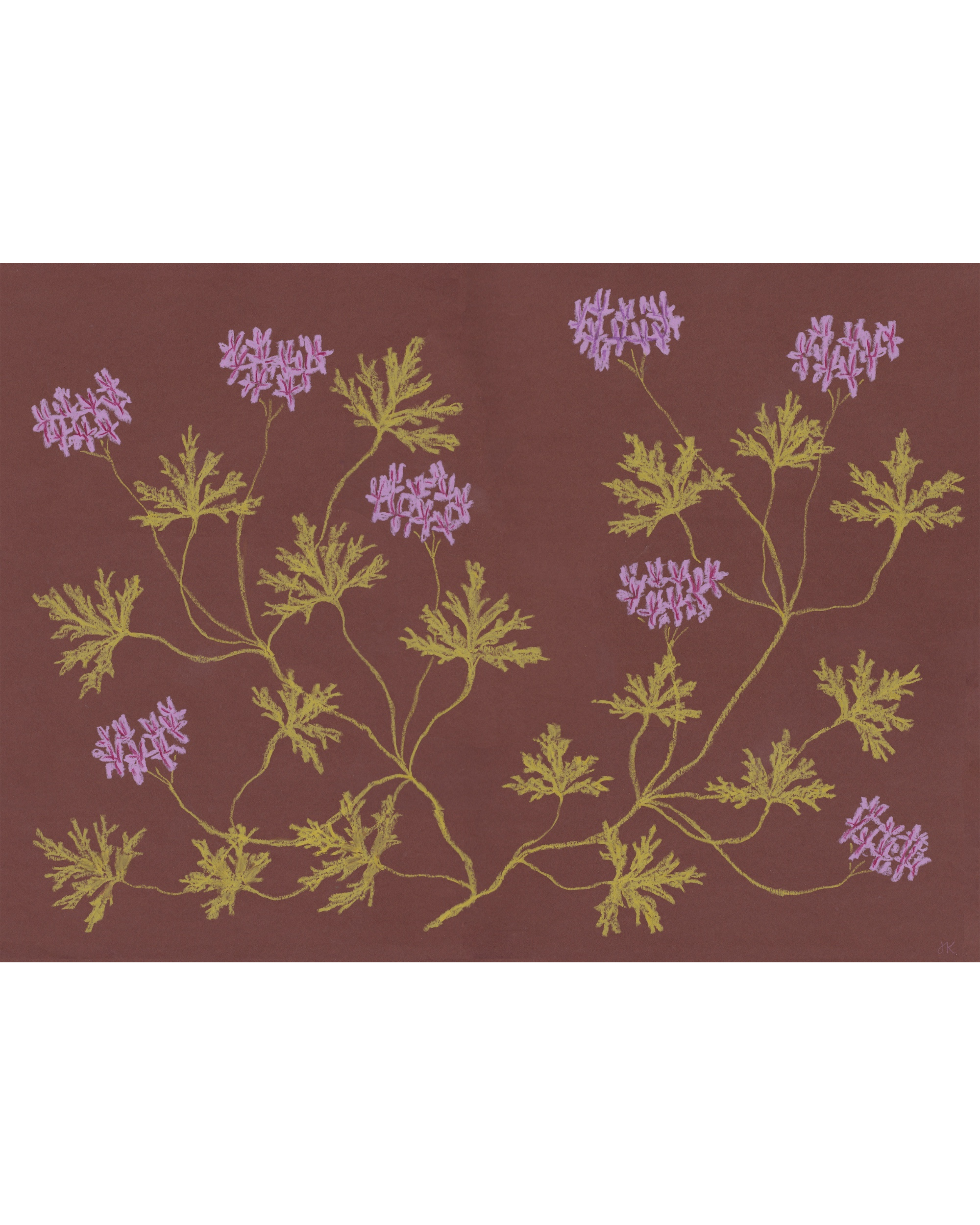 Lilac Rust Pastel Pelargonium - Rust & Lilac – JamJar Edit