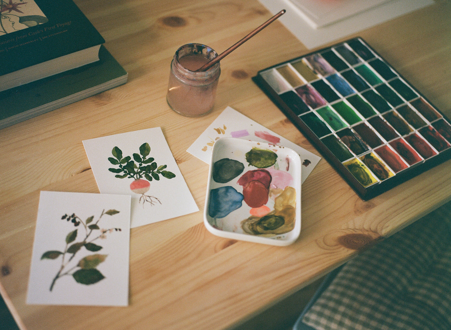 Botanical Watercolour Painting, 7th Dec