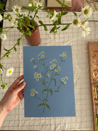 Pastel Daisy