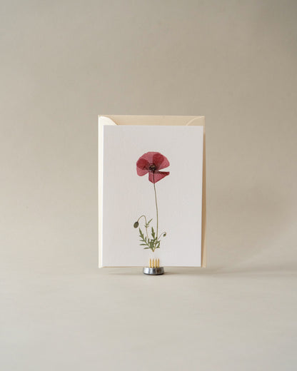 Card - July Poppy