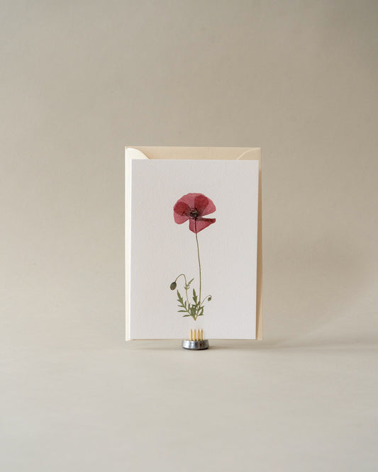Card - July Poppy