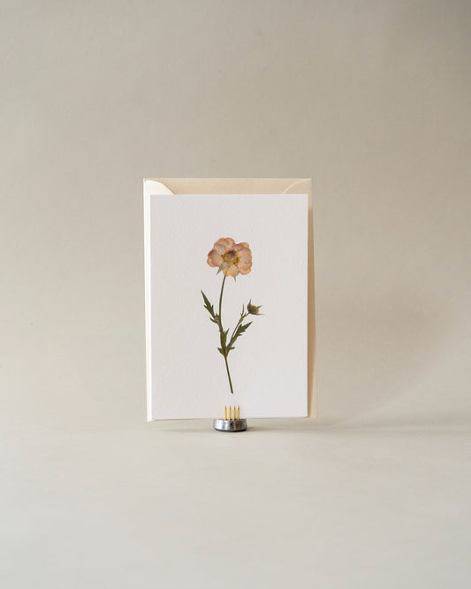 Card - June Geum