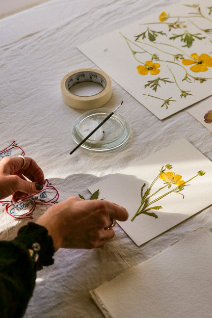 Flower Pressing at Goodnestone Park, 6th May