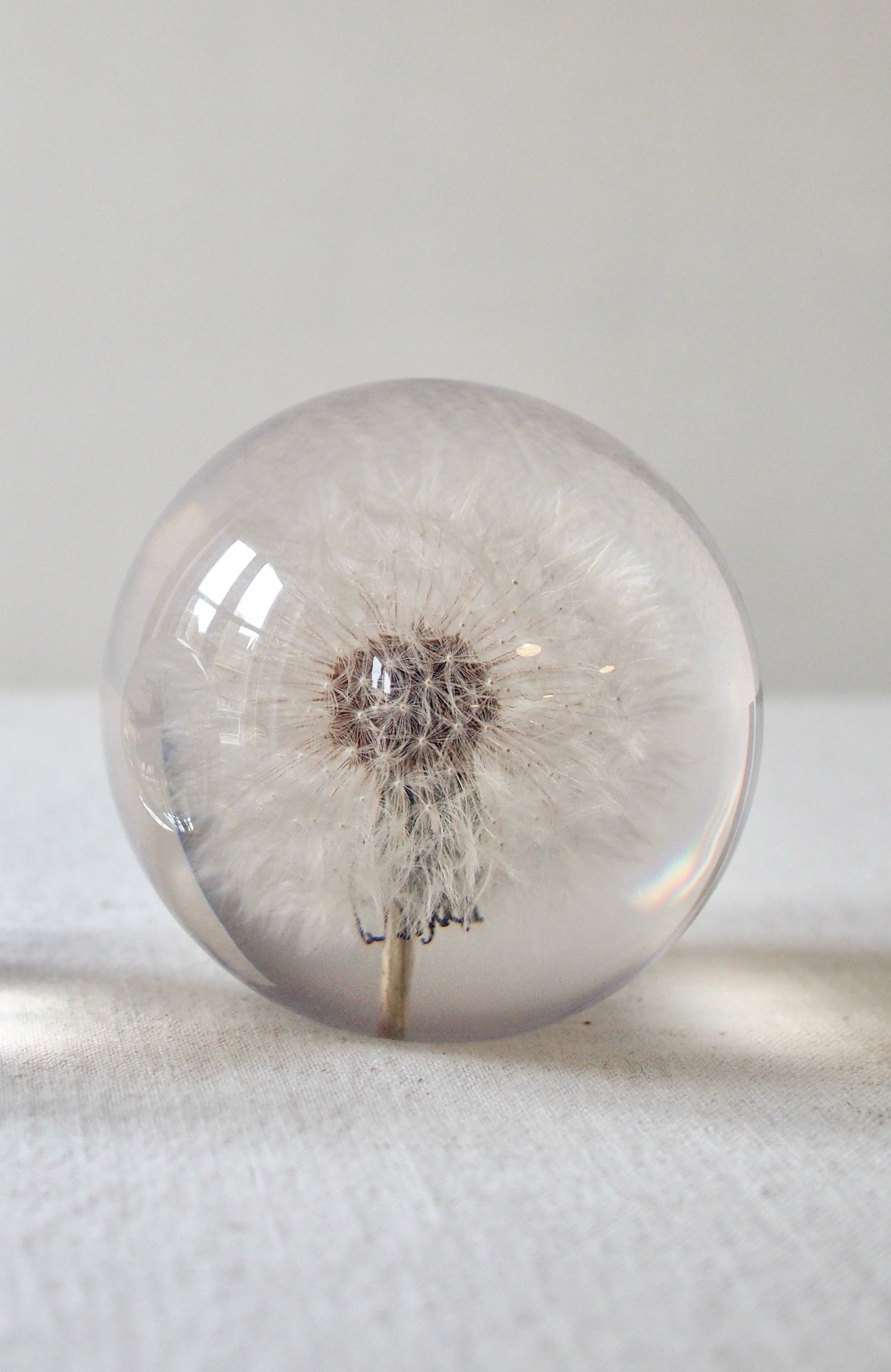 Botanical Paperweights