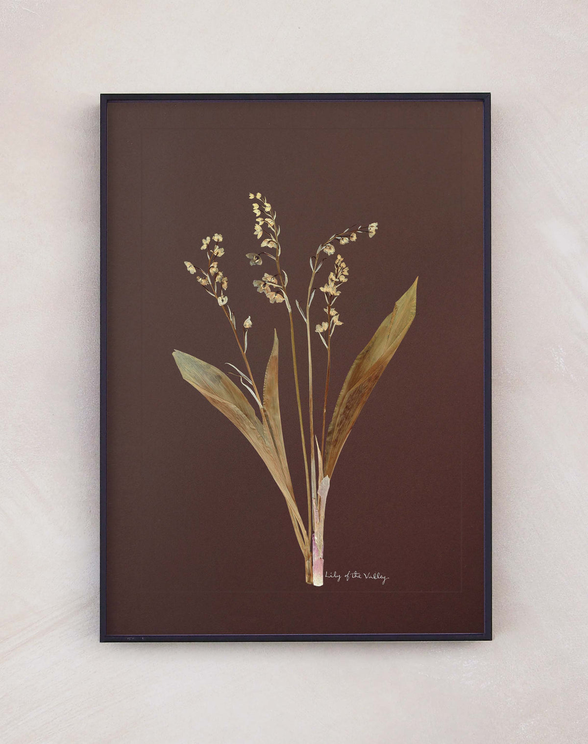 Lily of the valley