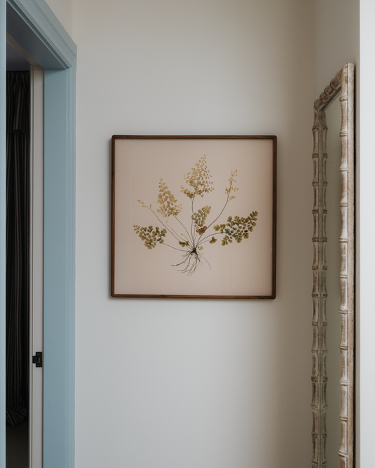 Maidenhair Fern