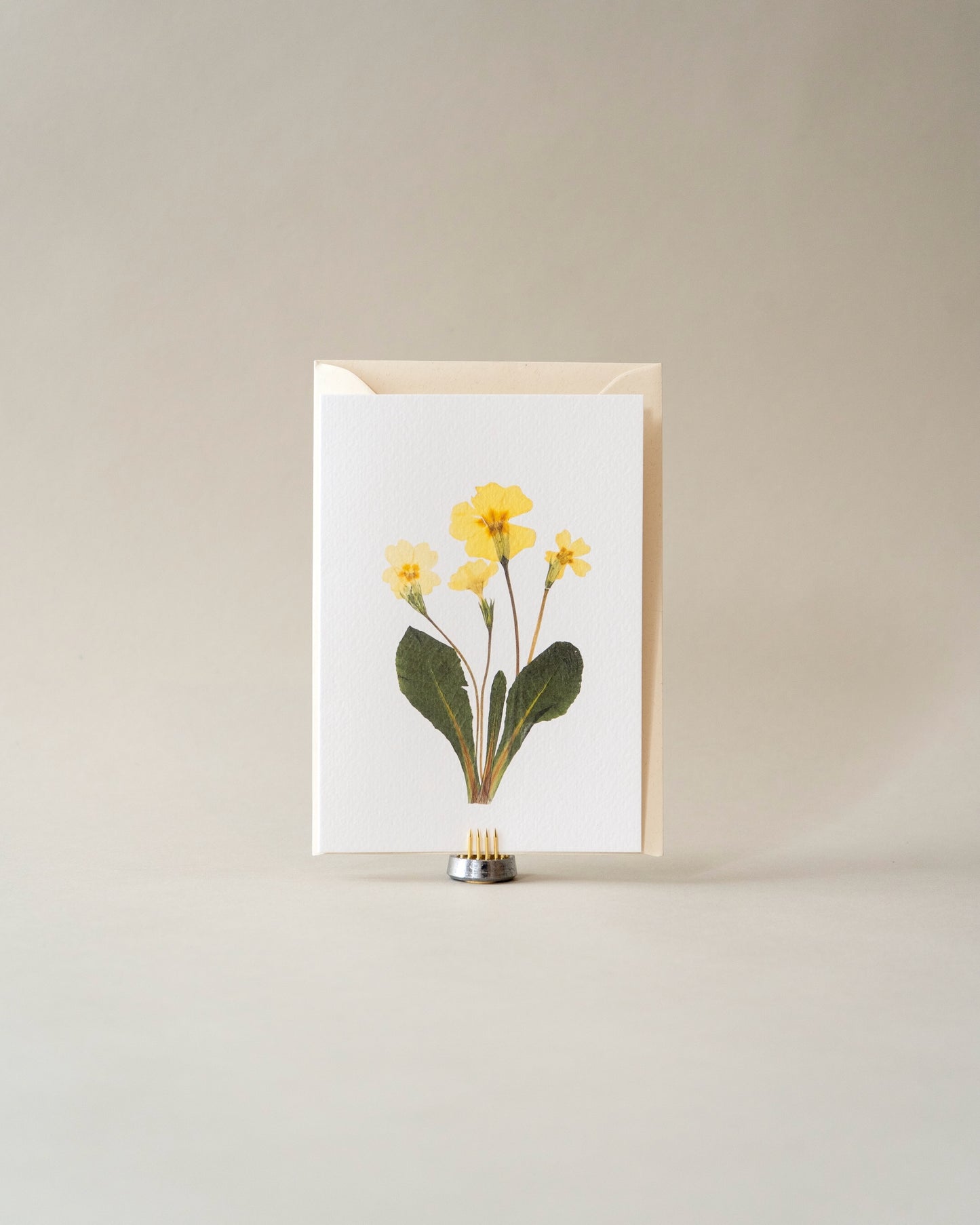 Card - March Primrose