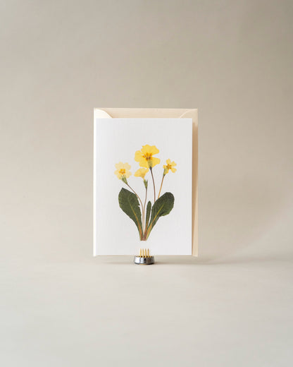 Card - March Primrose