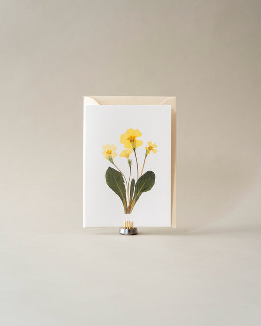 Card - March Primrose
