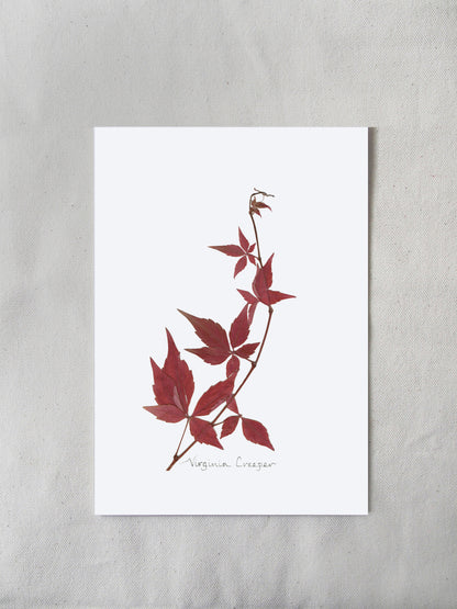 Seasonal Prints: January - December