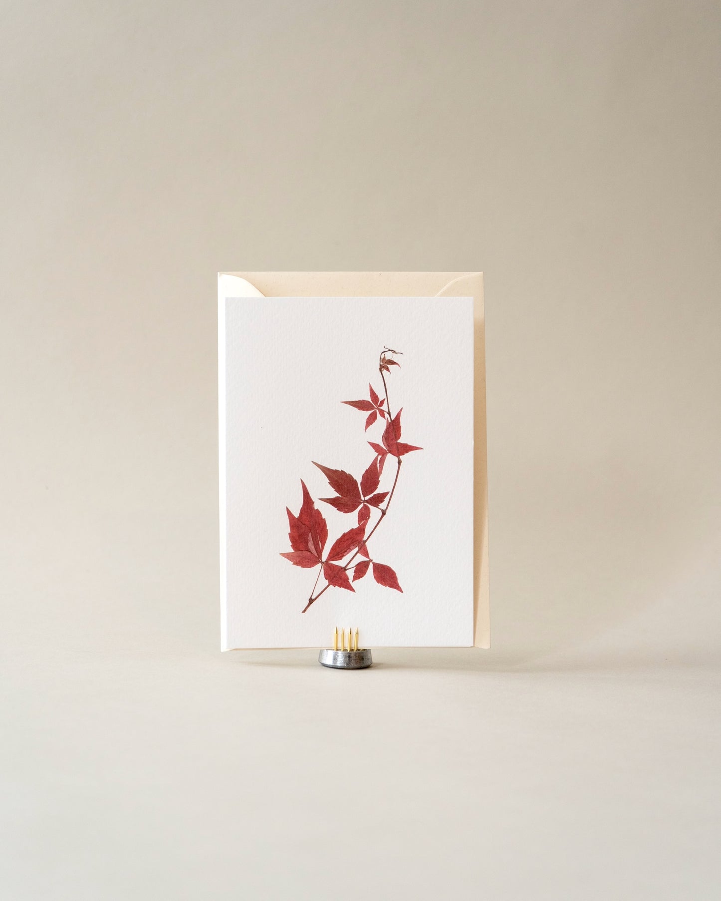 Card - November Virginia Creeper