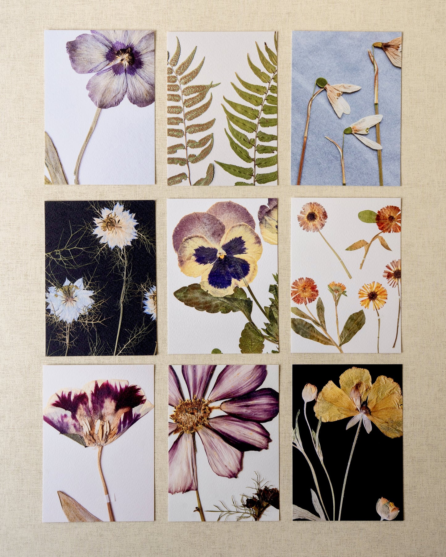 Postcard Set