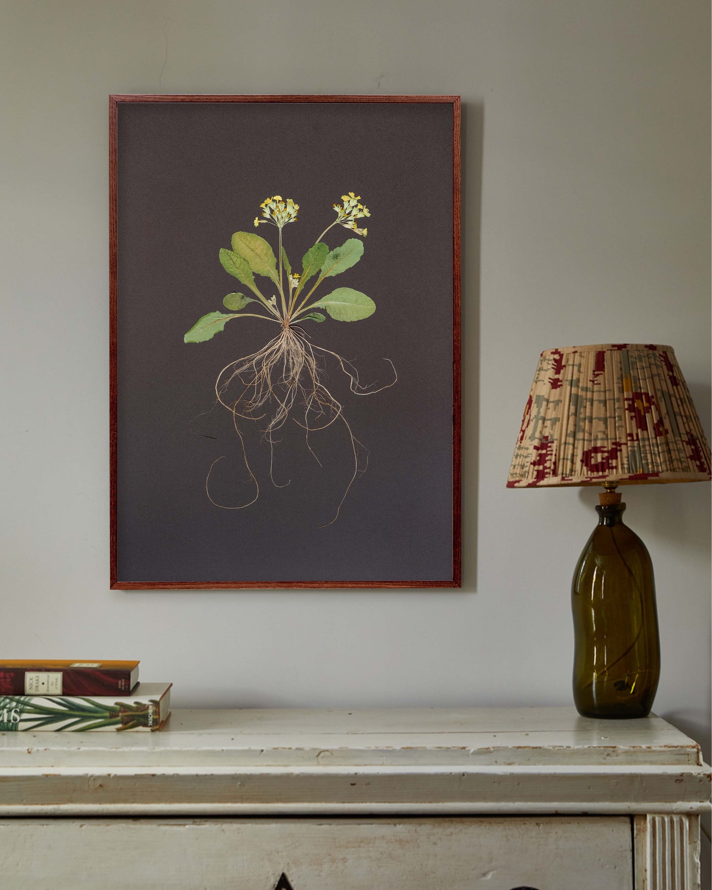 Cowslip with roots