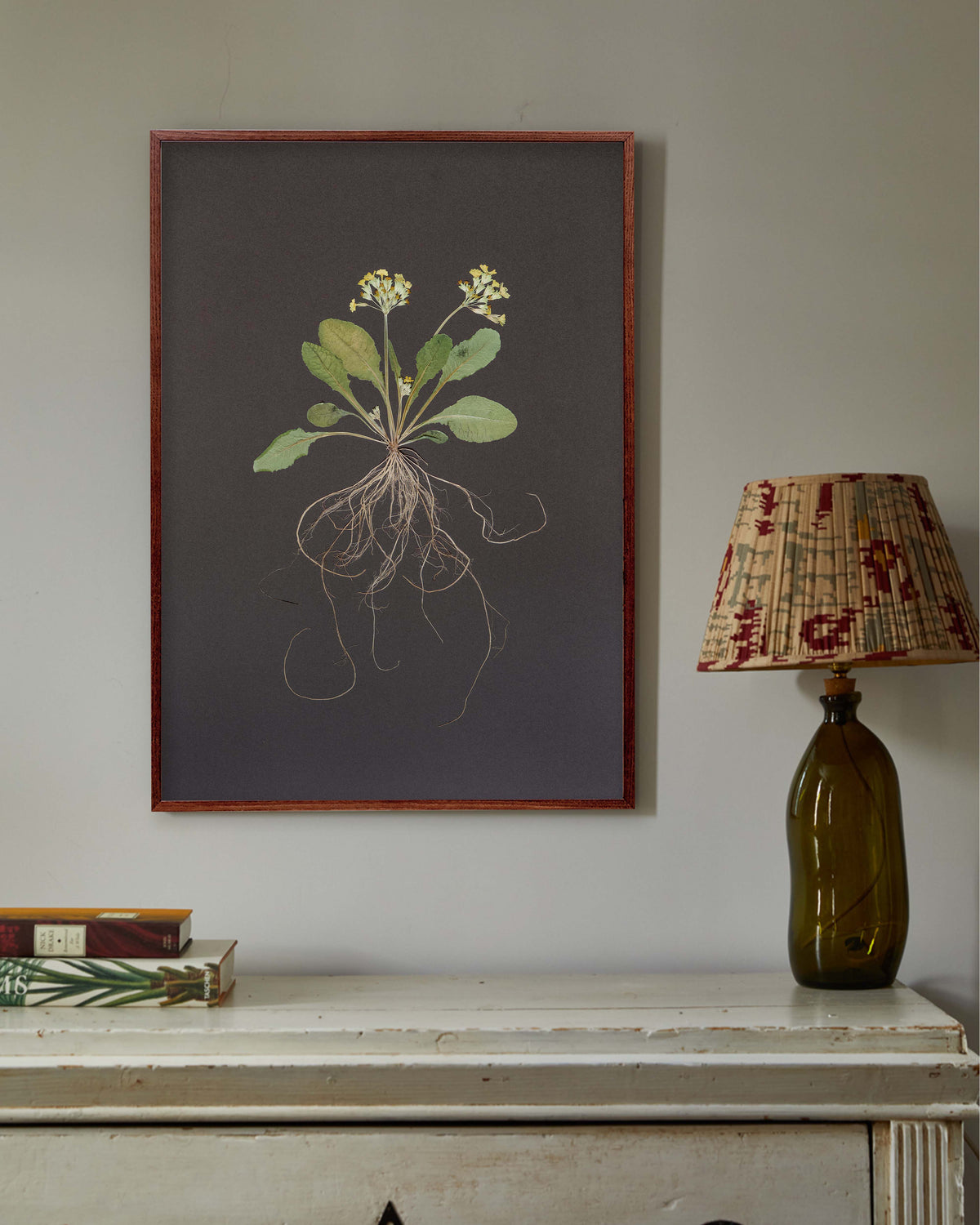 Cowslip with roots