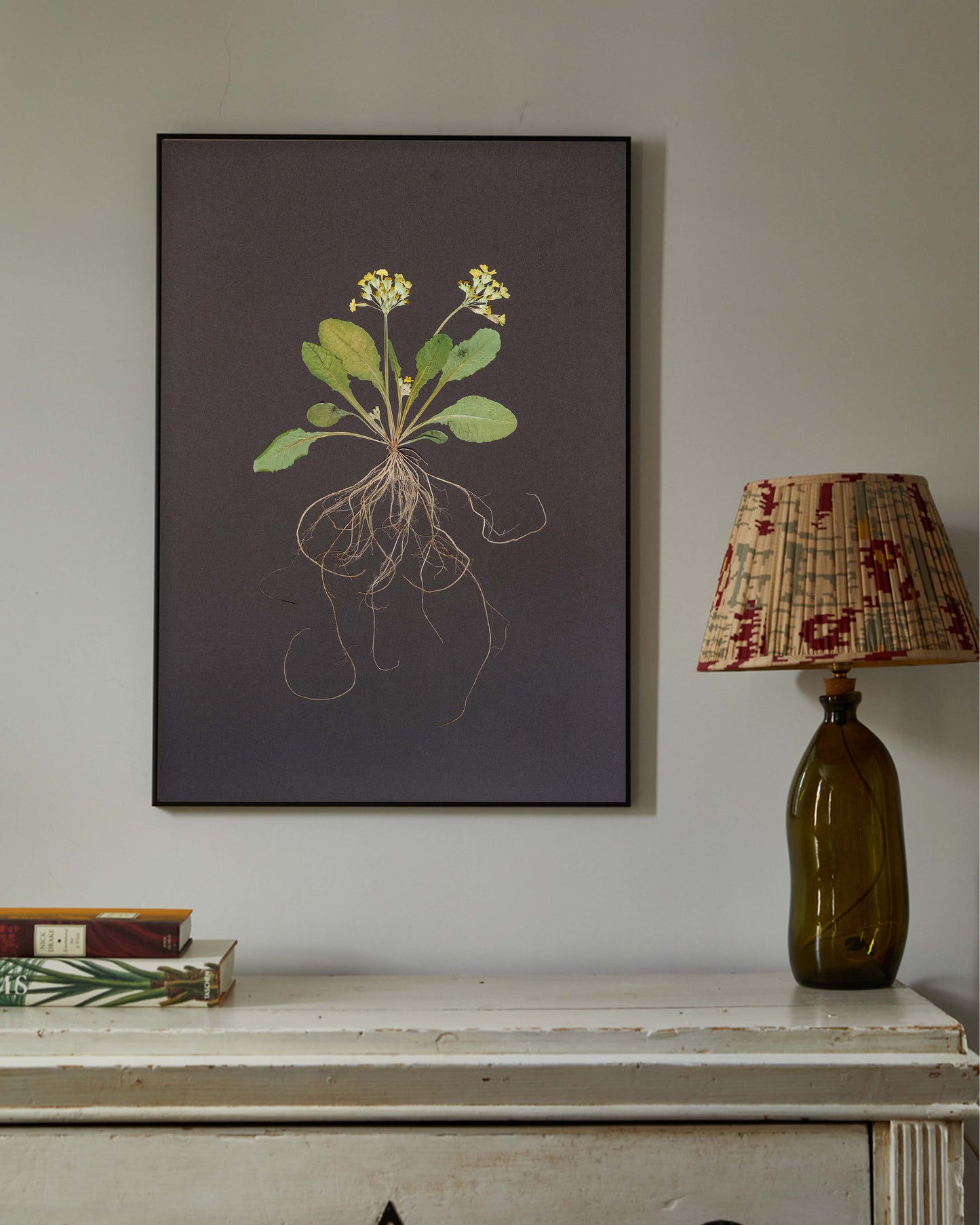 Cowslip with roots