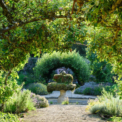 Flower Pressing at Highgrove Estate, Tetbury, Gloucestershire 23rd July