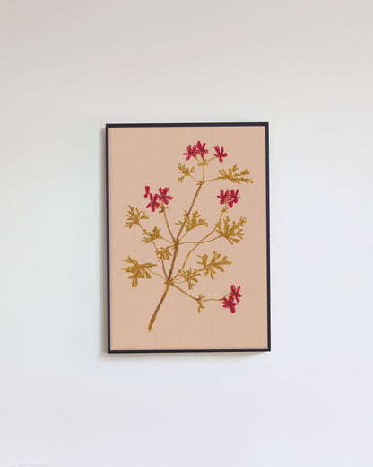 Pastel Pelargonium Red