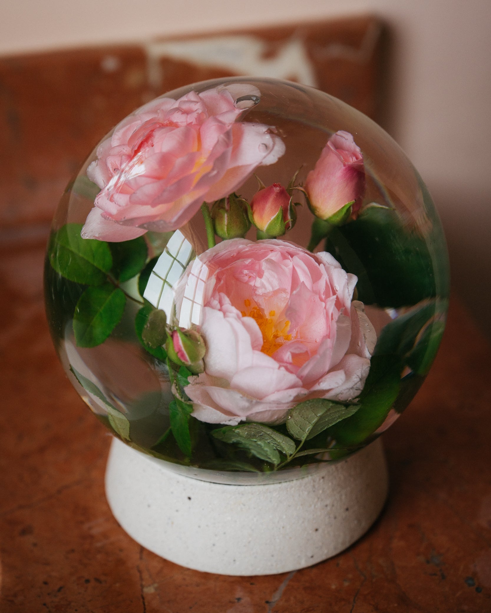 JamJar Edit - Rose Globe