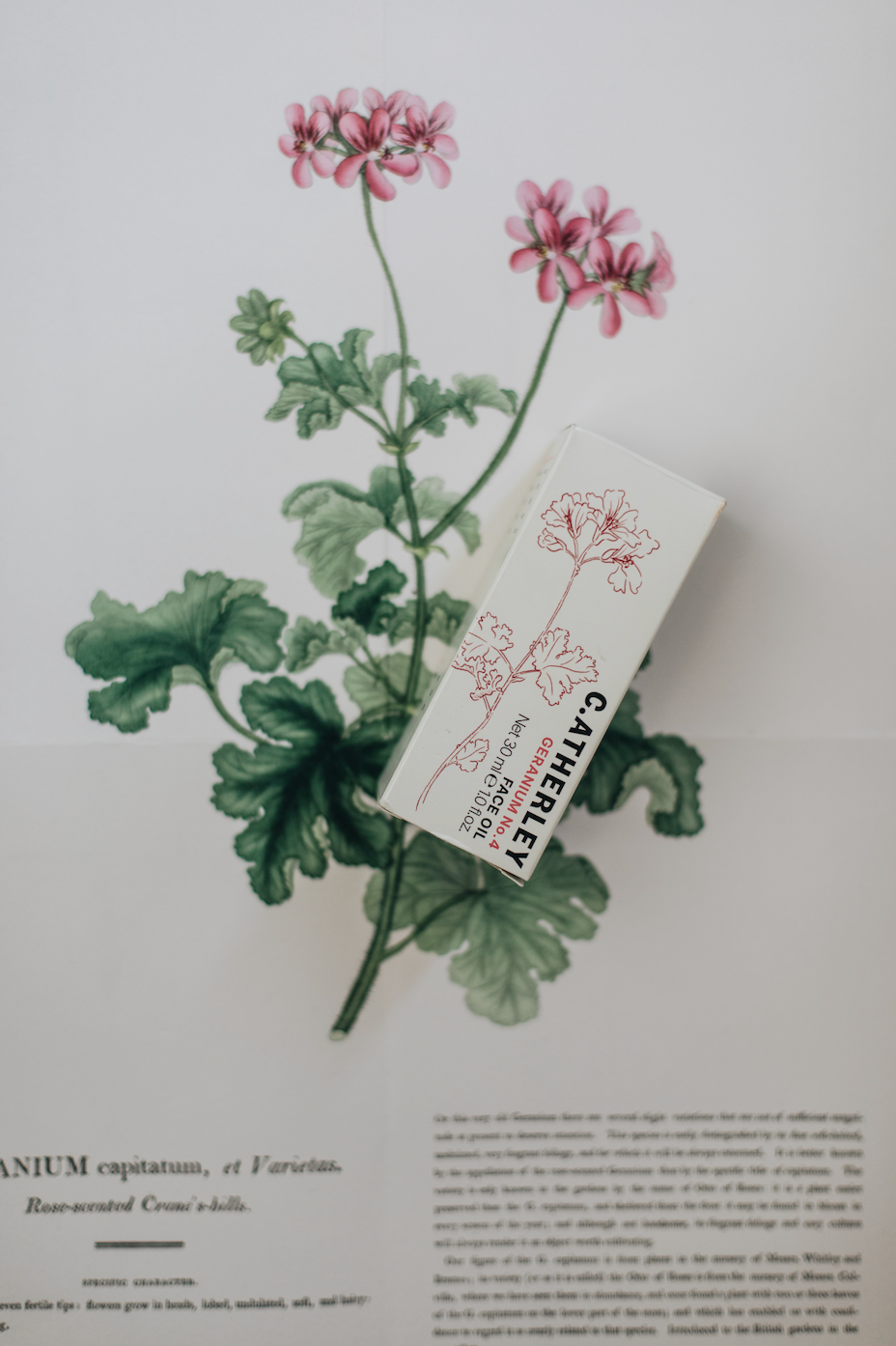 Hand Cream No.4