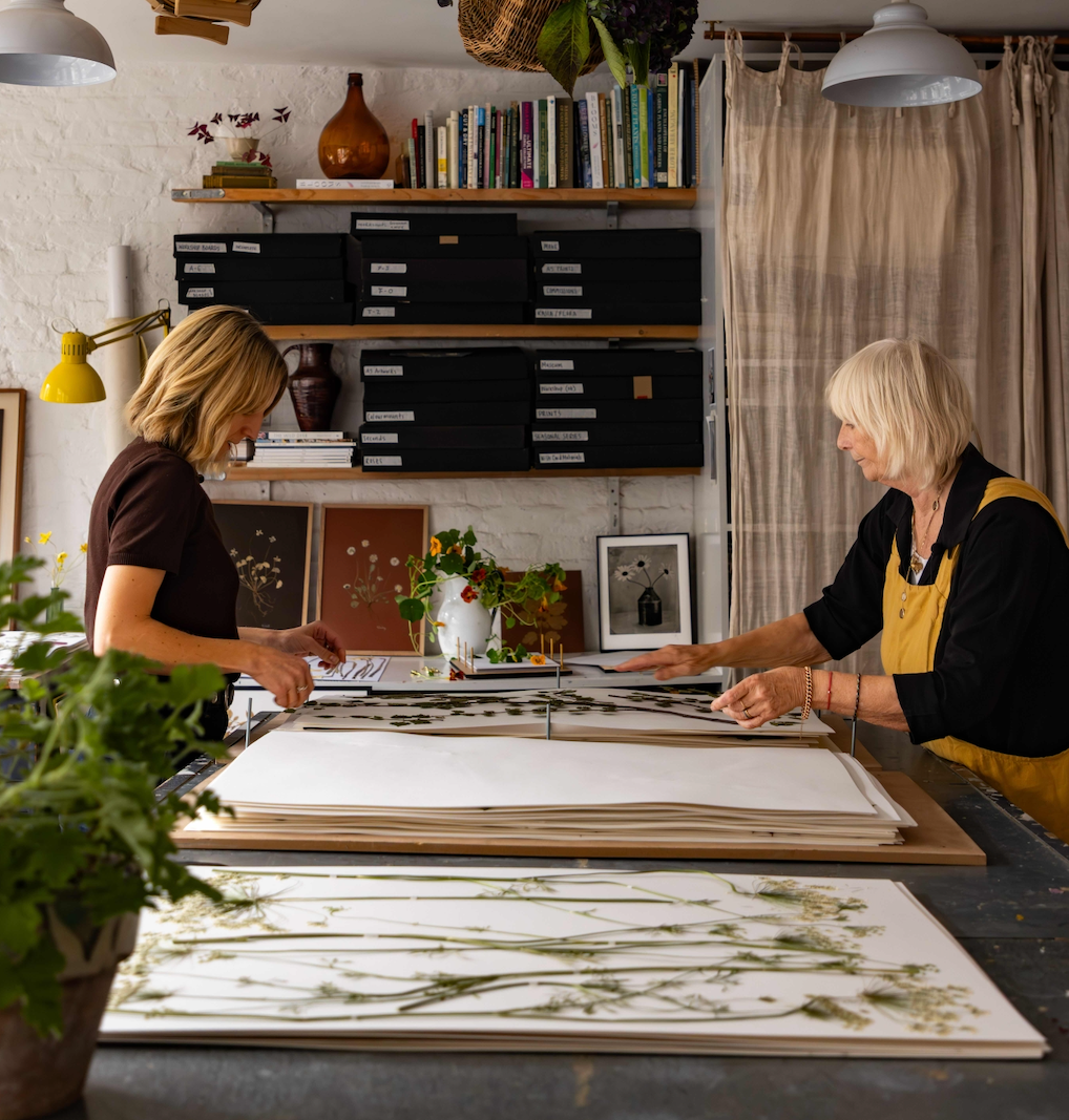 Gift Card – Gift a Private Flower Pressing Workshop